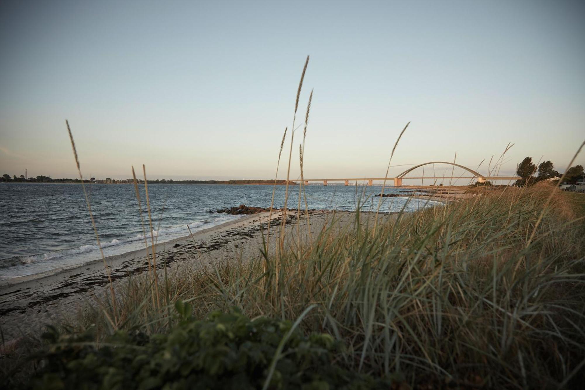 Gold Iii * Fehmarn